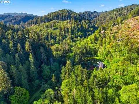 Upper North Fork Rd, Florence, OR 97439 photo 4