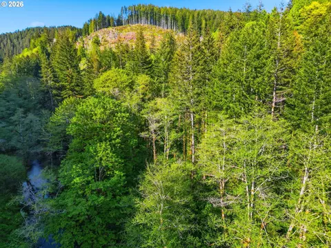 Upper North Fork Rd, Florence, OR 97439 photo 16