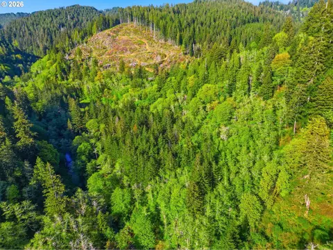 Upper North Fork Rd, Florence, OR 97439 photo 20