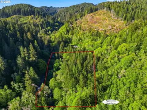 Upper North Fork Rd, Florence, OR 97439 photo 17