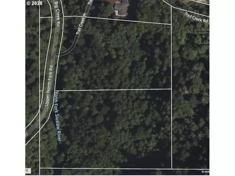 Upper North Fork Rd, Florence, OR 97439 photo 21