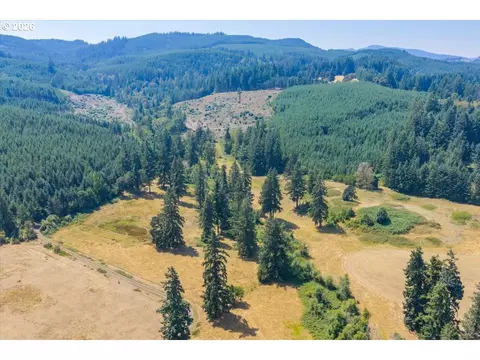 Upper Calapooia Dr, Sweet Home, OR 97386