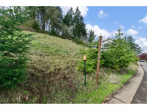 Mountain Ash, Eugene, OR 97405