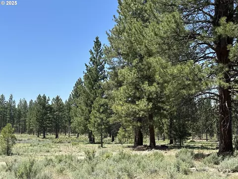 Sprague River Rd, Chiloquin, OR 97624