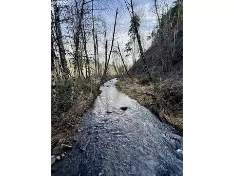 Butte Creek Crossing, Scotts Mills, OR 97375