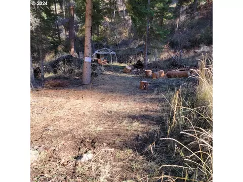 river canyon rd, Imnaha, OR 97842
