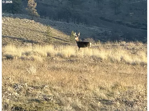 Vista Dr, Goldendale, WA 98620