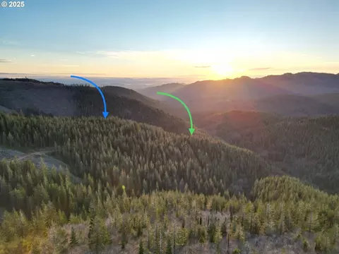 Skamania Mines Rd, Washougal, WA 98671