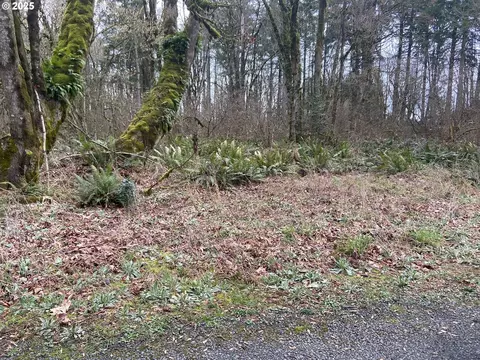 0 Forest Park Rd #19326, Rainier, OR 97048