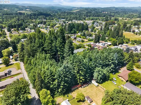 0 E St, Vader, WA 98593 photo 7