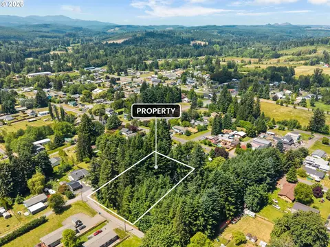 0 E St, Vader, WA 98593 photo 2