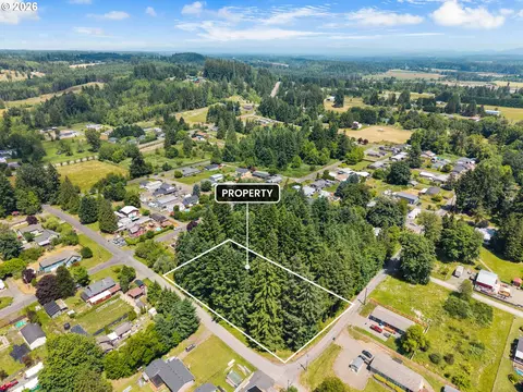 0 E St, Vader, WA 98593 photo 3