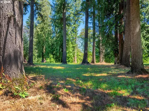 Exterior - Undisclosed, Warren, OR 97053 photo 10 of 11