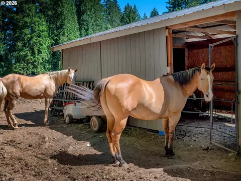 Exterior - Undisclosed, Warren, OR 97053 photo 8 of 11