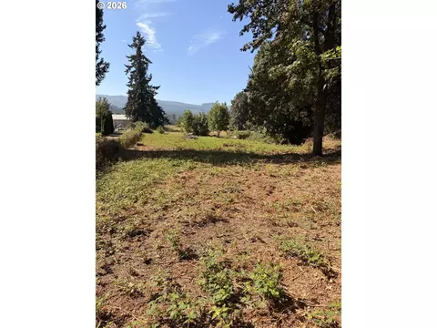 Mckenzie Hwy, Springfield, OR 97477 photo 4