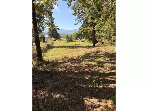Mckenzie Hwy, Springfield, OR 97477 photo 2