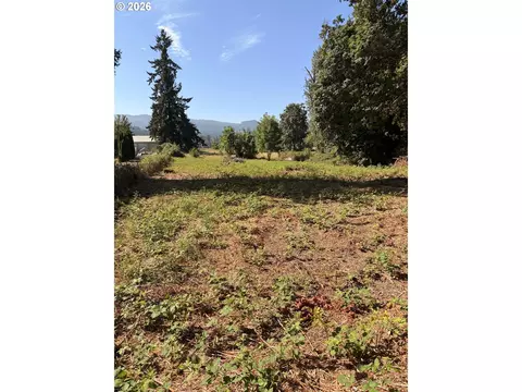 Mckenzie Hwy, Springfield, OR 97477 photo 5