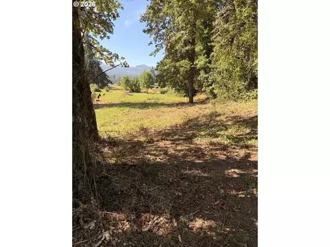 Mckenzie Hwy, Springfield, OR 97477 photo 3