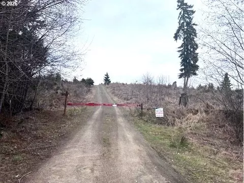 Timber Rd, Timber, OR 97144