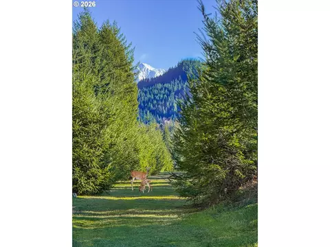 Other - 52135 E Terra Fern Dr, Sandy, OR 97055 photo 8 of 19