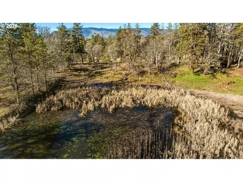 Morgensen Rd, Mosier, OR 97040 photo 11
