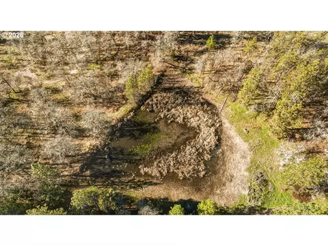 Morgensen Rd, Mosier, OR 97040 photo 10