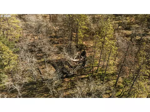 Morgensen Rd, Mosier, OR 97040 photo 13