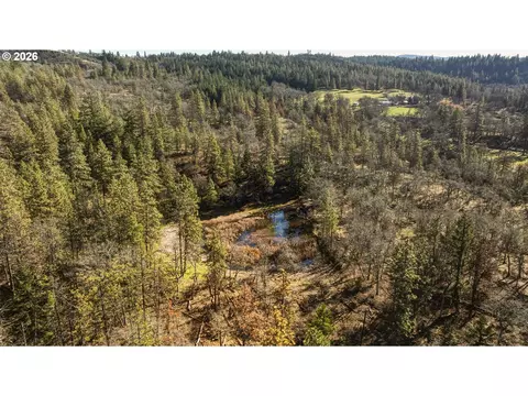 Morgensen Rd, Mosier, OR 97040 photo 4