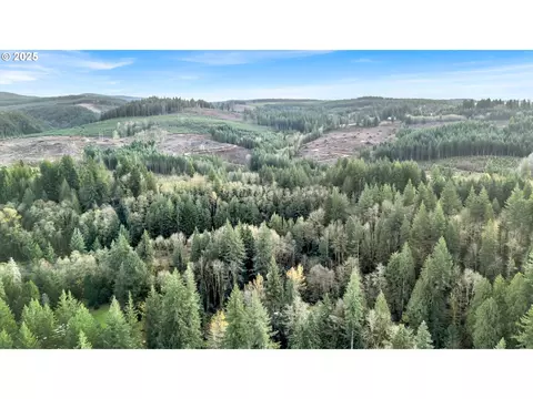 53101 E Sylvan Dr, Sandy, OR 97055 photo 12