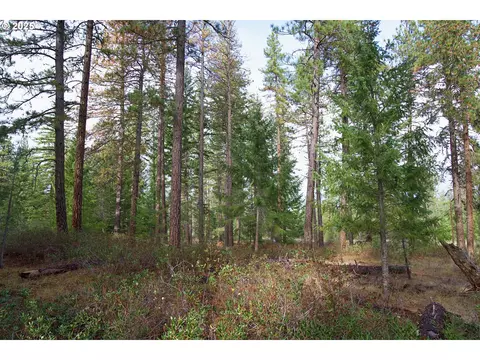 lonesome pines dr, Trout Lake, WA 98650