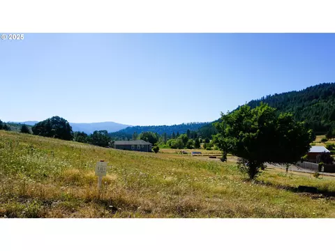 spike dr, Oakridge, OR 97463