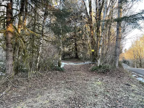 Red Bluff Rd, Seaside, OR 97138 photo 3