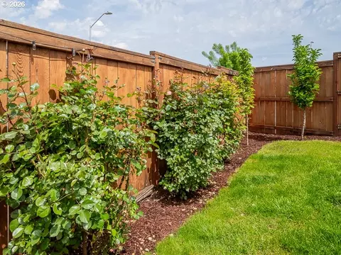 Exterior - 1204 S 28th Ter, Cornelius, OR 97113 photo 6 of 6