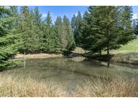 View/Area - 43737 SErin Ln, Sandy, OR 97055 photo 1 of 5