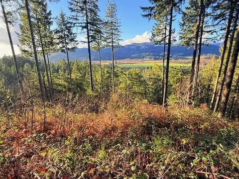 Alder Branch Rd, Springfield, OR 97478 photo 11
