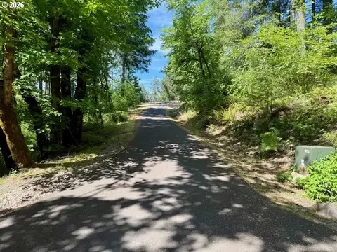 Alder Branch Rd, Springfield, OR 97478 photo 18