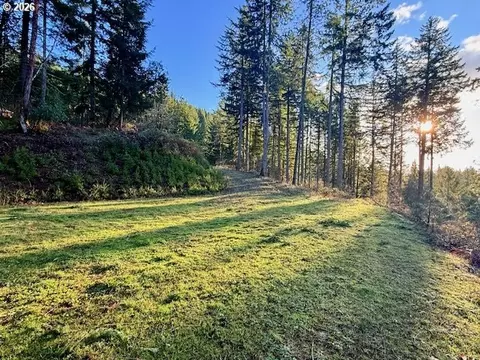 Alder Branch Rd, Springfield, OR 97478 photo 9