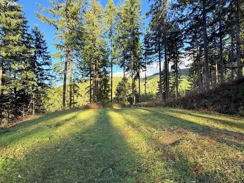 Alder Branch Rd, Springfield, OR 97478 photo 3