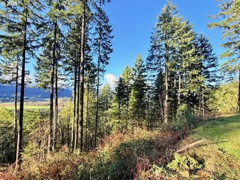 Alder Branch Rd, Springfield, OR 97478 photo 10
