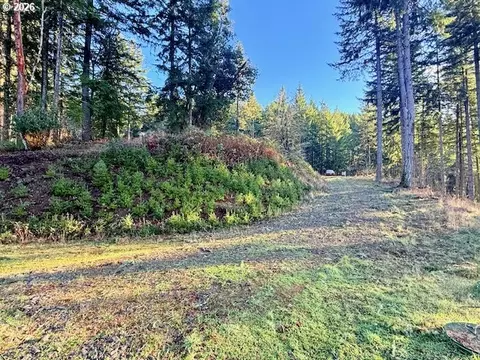 Alder Branch Rd, Springfield, OR 97478 photo 6