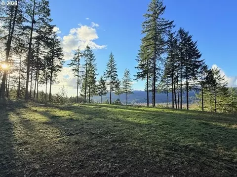 Alder Branch Rd, Springfield, OR 97478 photo 7