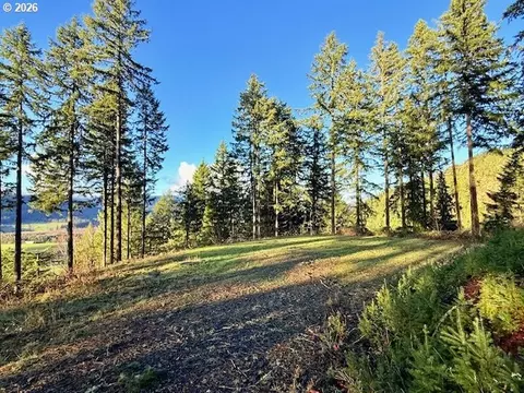 Alder Branch Rd, Springfield, OR 97478 photo 5
