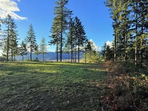 Alder Branch Rd, Springfield, OR 97478 photo 8