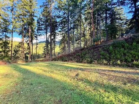Alder Branch Rd, Springfield, OR 97478 photo 4