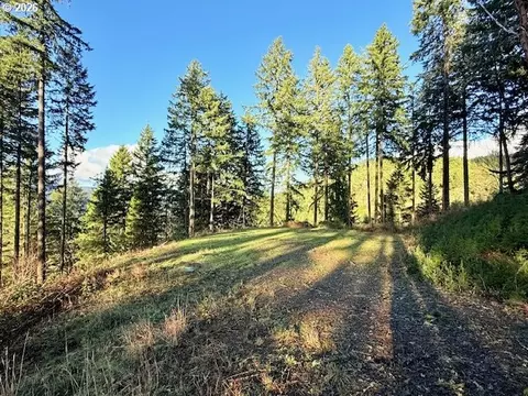 Alder Branch Rd, Springfield, OR 97478 photo 2