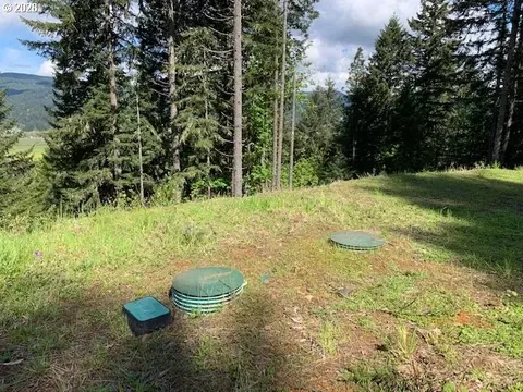 Alder Branch Rd, Springfield, OR 97478 photo 17