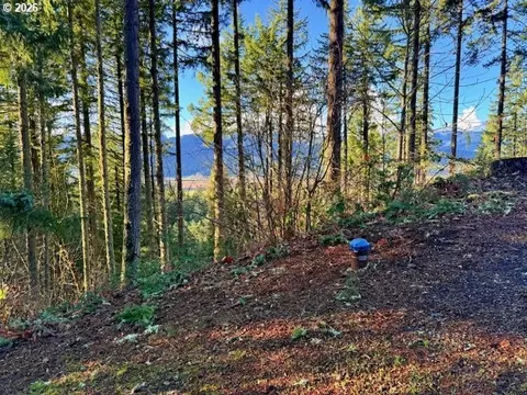 Alder Branch Rd, Springfield, OR 97478 photo 13