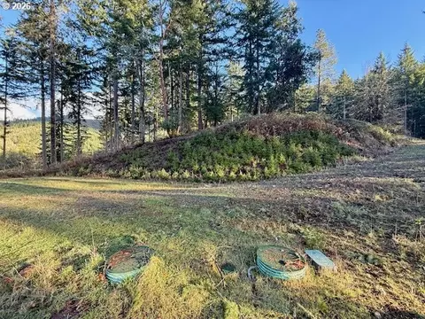 Alder Branch Rd, Springfield, OR 97478 photo 12