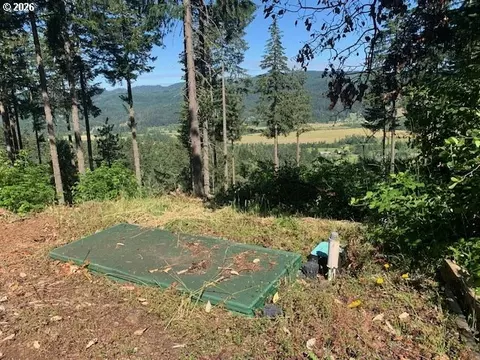 Alder Branch Rd, Springfield, OR 97478 photo 16