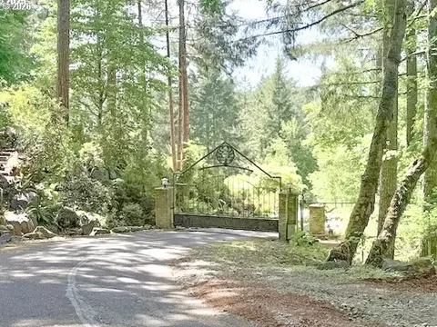 Alder Branch Rd, Springfield, OR 97478 photo 20
